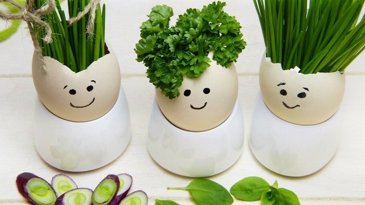 virus-silviarita-Px|produccion de limon